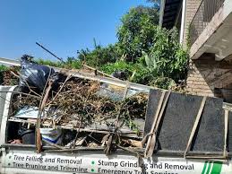 Professional Junk Removal in Rivanna, VA